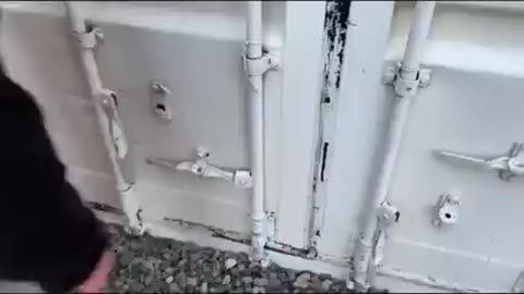 I wonder if there is time Portales