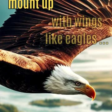 Wait Upon The Lord: Rely on Him, Not Yourself