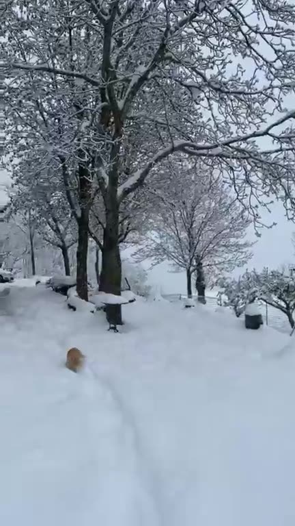 Canavare Fanano.. modena italia