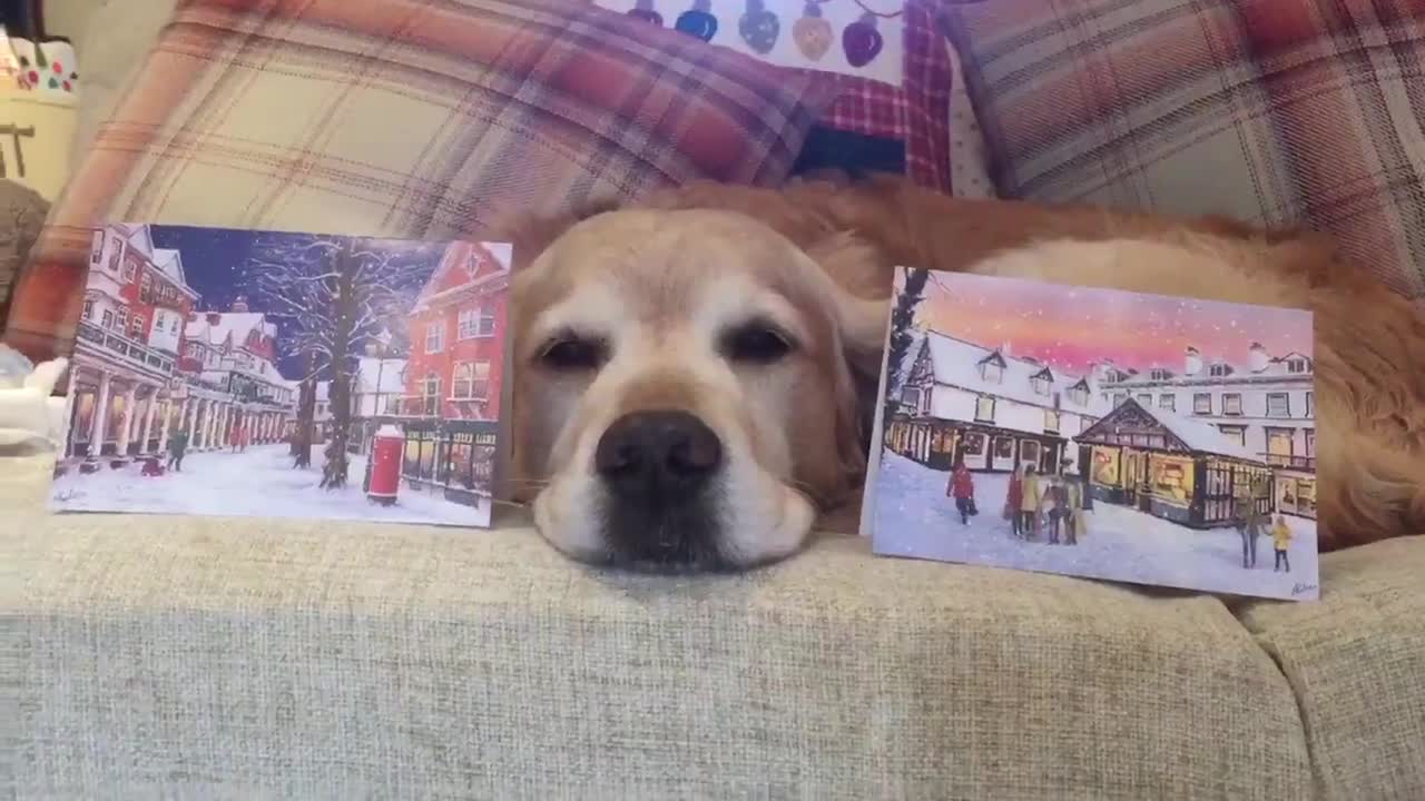 My Family and I are busy writing Christmas cards...