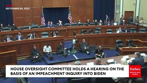 Are You Disputing-- Daniel Goldman Rips Apart Witness Testimony During Biden Impeachment Hearing