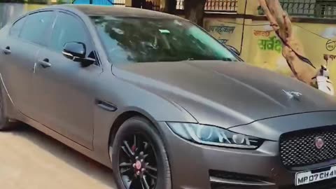 jaguar on the field