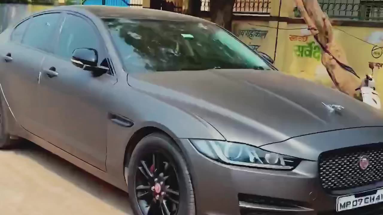 jaguar on the field