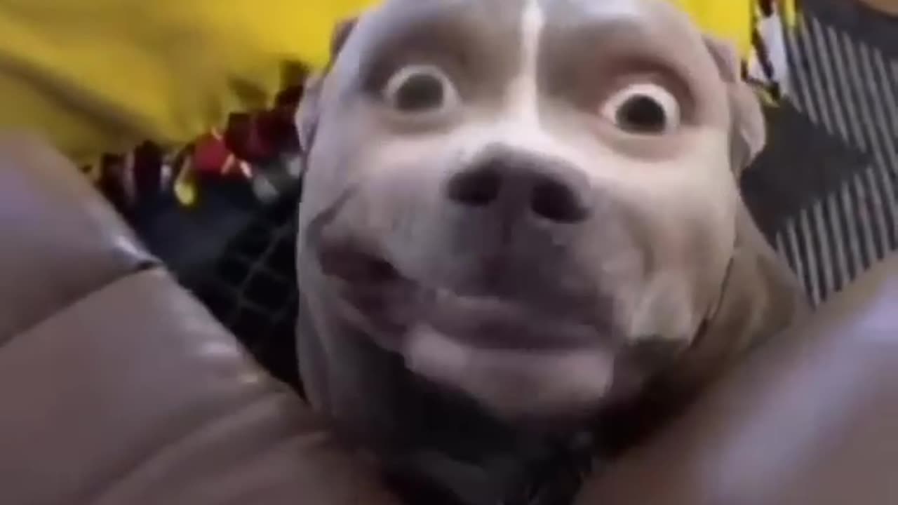 nuts