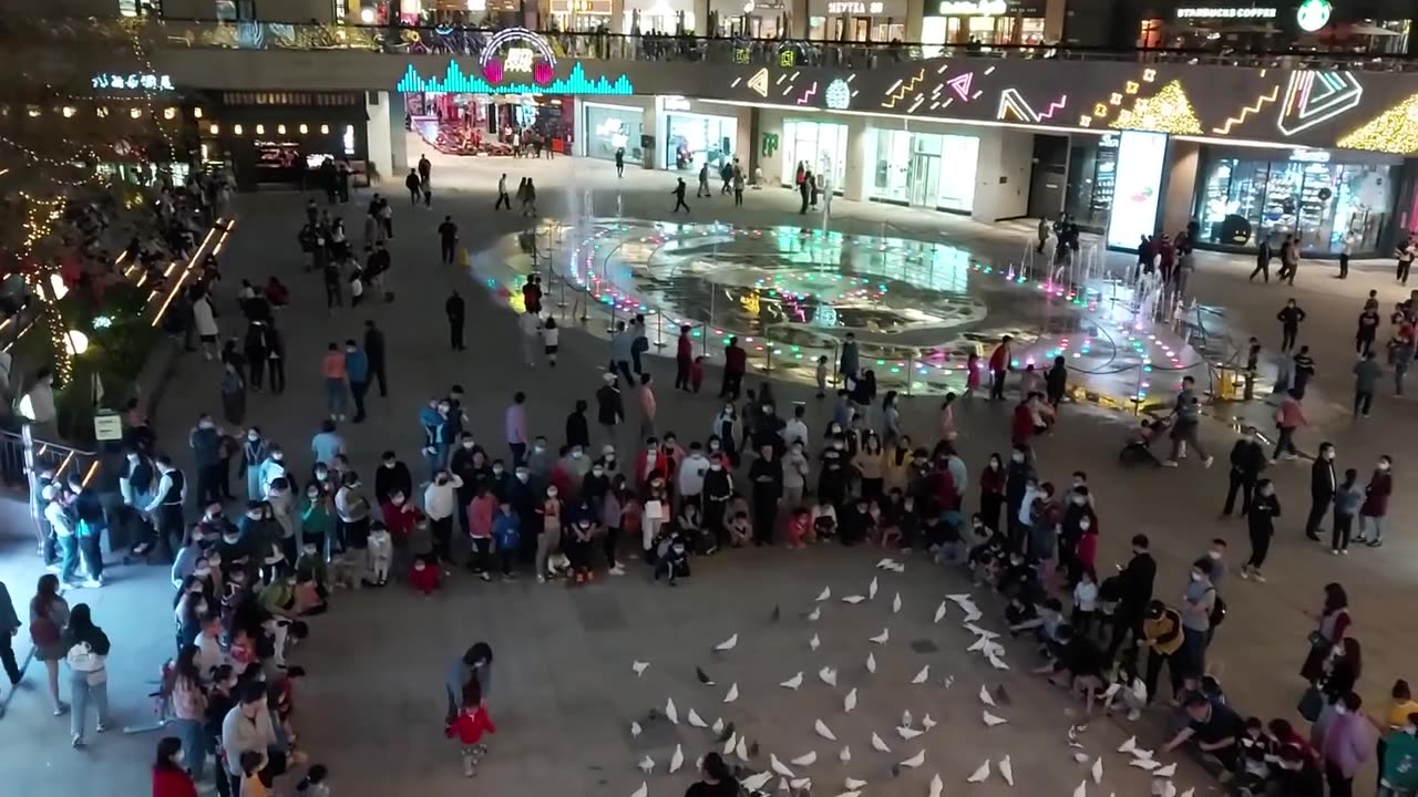 Wild life in the Chinese Cities