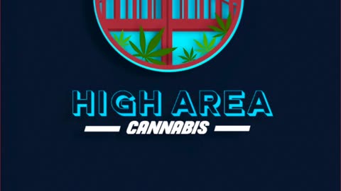 Day In The Life of a STIIIZY Grand Opening