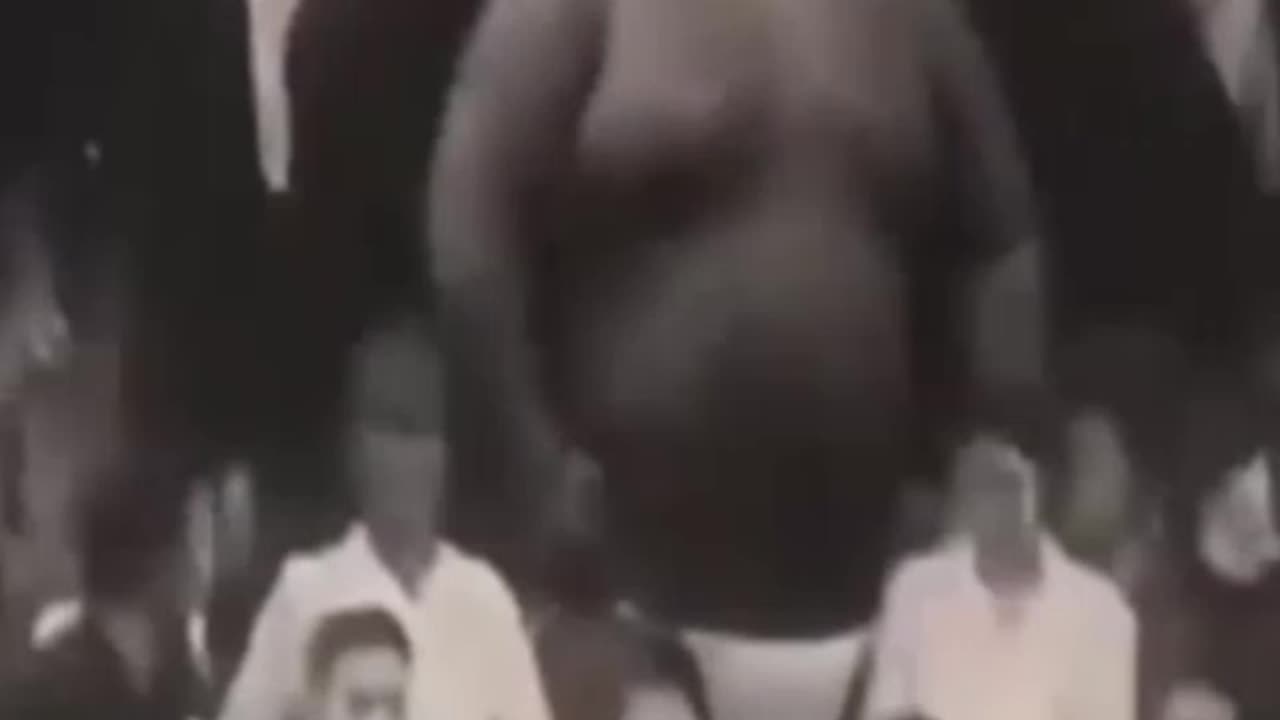 Real Giant in Japan Year 1890 Old World Survivor