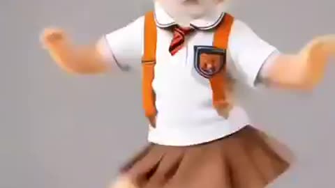 Cute cat shorts video