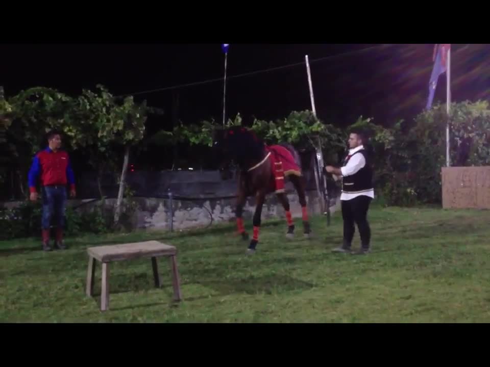 Alta scuola spettacolo equestre ROBERTO CONTE E FUEGO XII "Old ranch Valerio" Ascea Marina