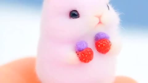 Mini bunny