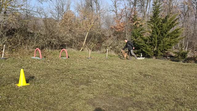 Palestra motoria con Deep e Pier