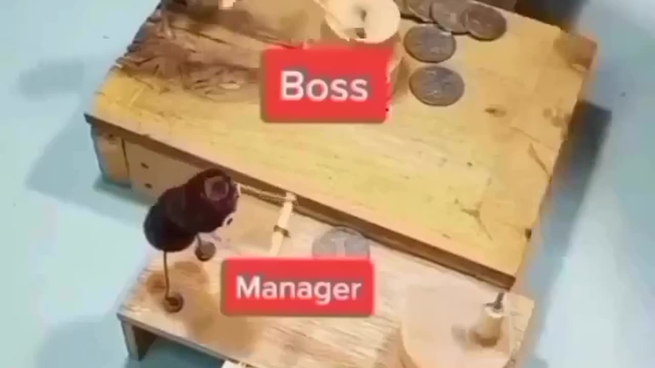 How the world works