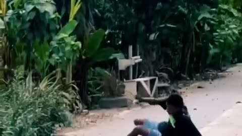 Funny video Funny since. .part 5