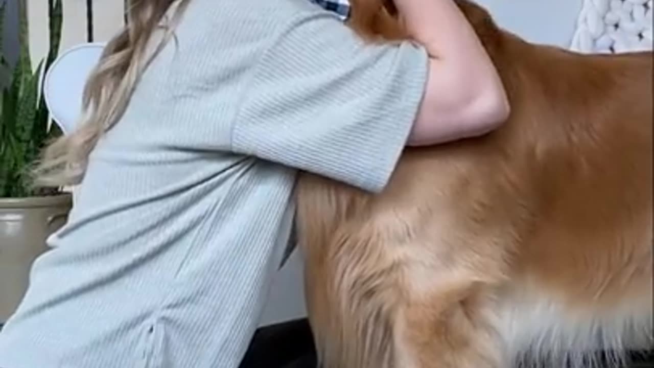 Calling My Dog When He's Right Next to Me