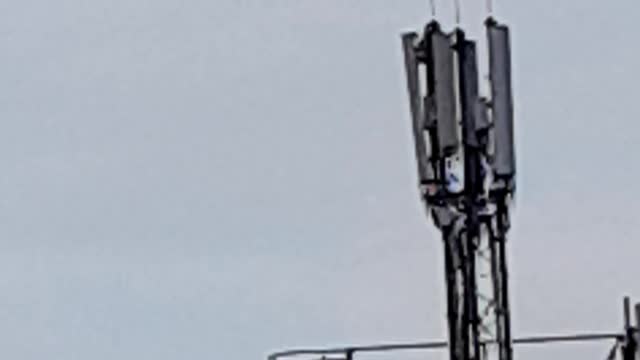 5G masts Handypark Millfield Belfast
