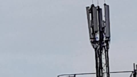 5G masts Handypark Millfield Belfast