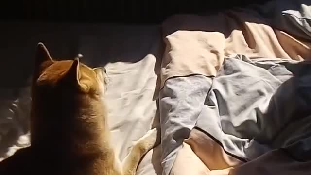 "I'm so bored at home. I'm so bored."