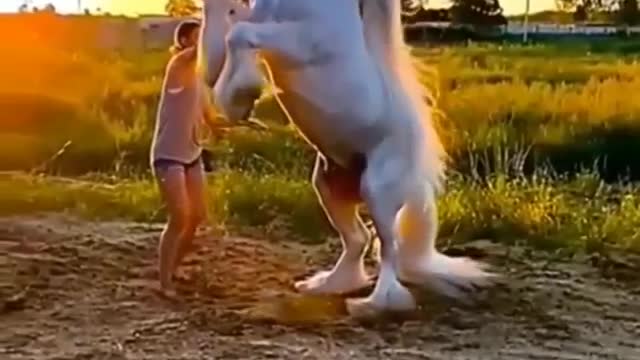 Horse power