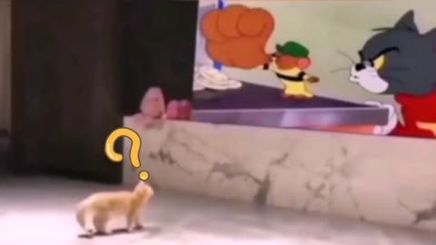 cat watching cartoon