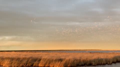 Swan Tornado at Swan Quarter National Wildlife Refuge, NC