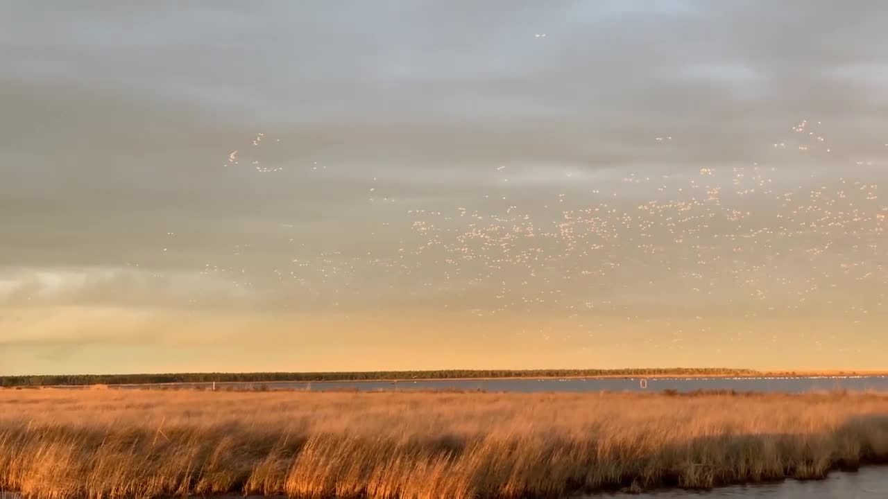 Swan Tornado at Swan Quarter National Wildlife Refuge, NC