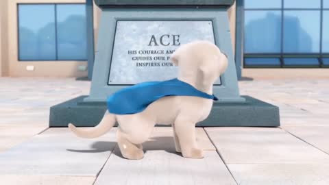 Story Of A Cute Little Dog