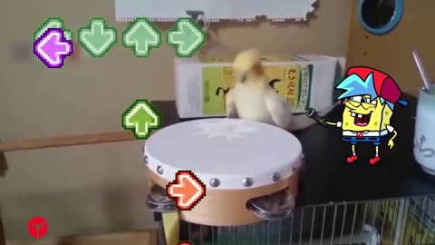 Funniest Cats And Dogs Videos 😁 - Best Funny Animal Videos 2023 😅_spongebob funny video.mp4 #rumble