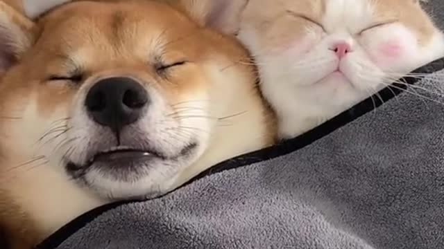 so cuteeeee!!