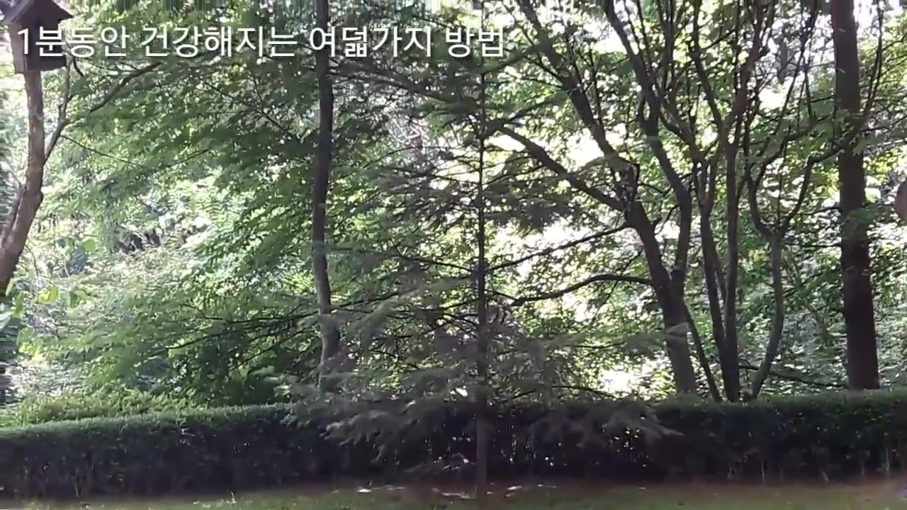 20180730_V3_S01(92PsVWkWsRY)1분동안 건강해지는 여덟가지 방법