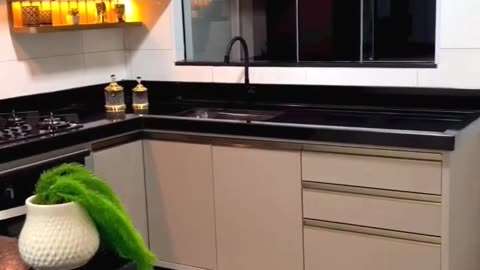 Kitchen New Design