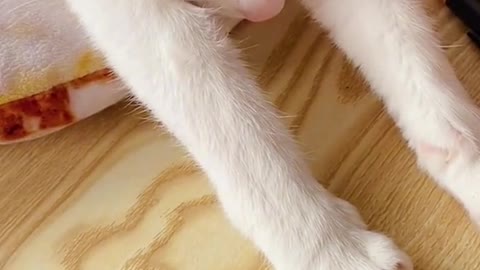 He’s willing to cut his nails