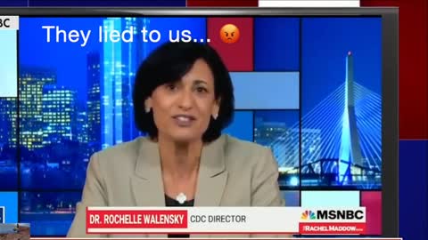 Here Are The Liars Lying To Us - Now, Let's Bring Them To Justice For Their Crimes!
