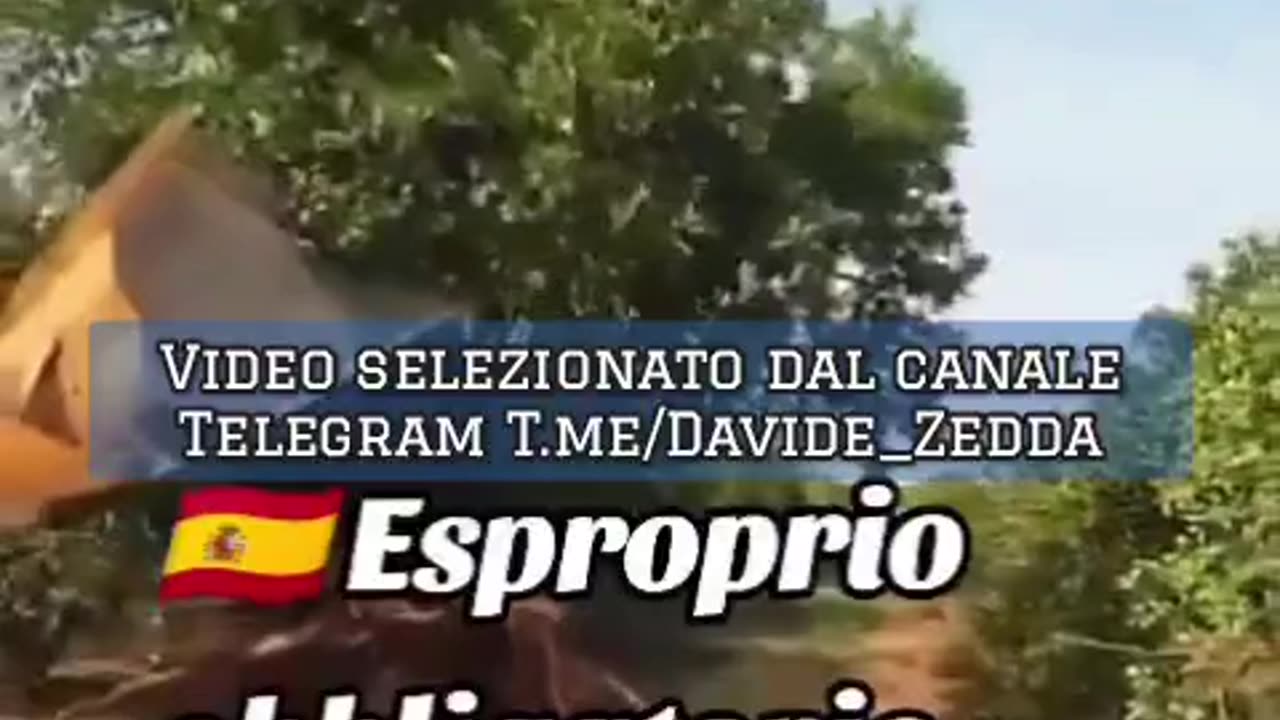Tutto questo perché Bruxelles deve fare i pannelli fotovoltaici!