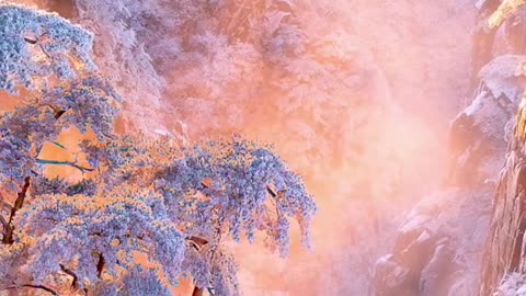 #nature #tiktok #Master2022byTikTok