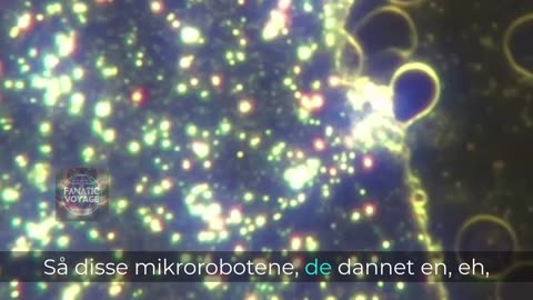 Ana Mihalceas Lovende Biovåpen-Detox Protokoll Som Kombinerer Vitamin C, EDTA Og MER Du Må Vite Om