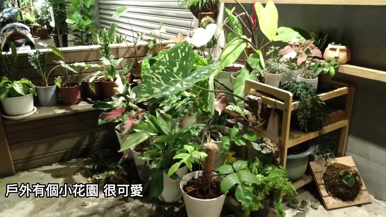 Day49 木木食堂