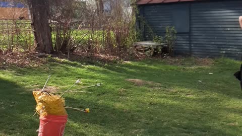 Archery: Hip quiver practice
