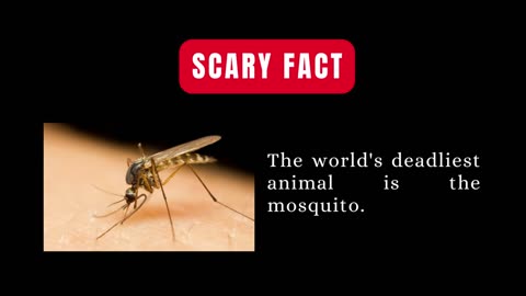 Scary Fact.