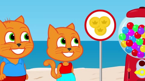 Cats family in beach 🏖️ playing