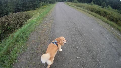 August 10th, 72º Flynn makes into Prentiss, it's tropical out here today