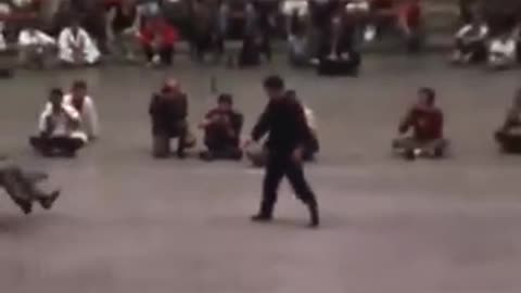 Bruce Lee The Ultimate Legend