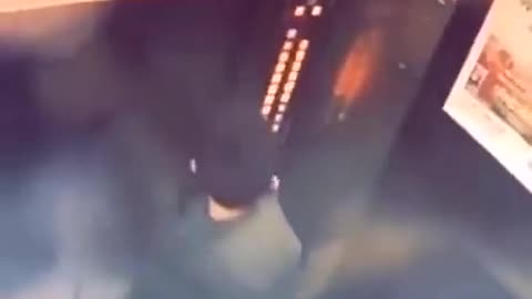 What he expected after this lmao