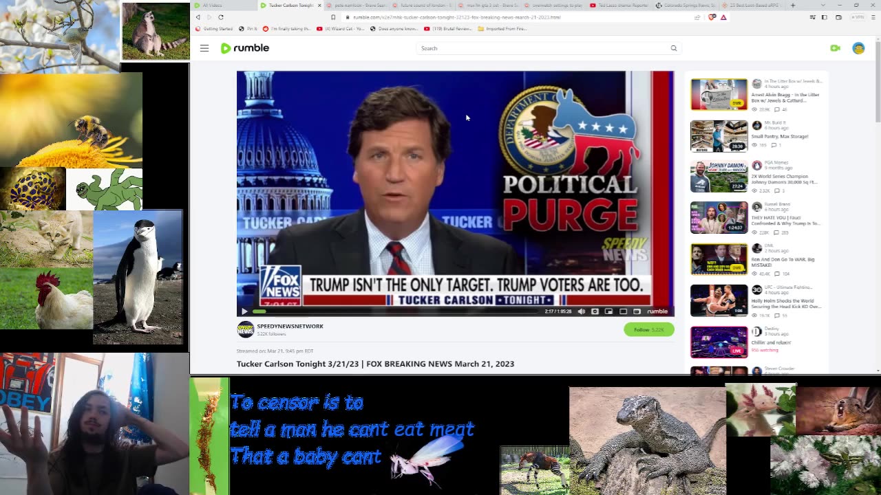 The Five and Tucker 3/21/2023 Late Watchalong