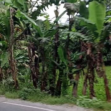 Amazing Motorcycle Driving Video