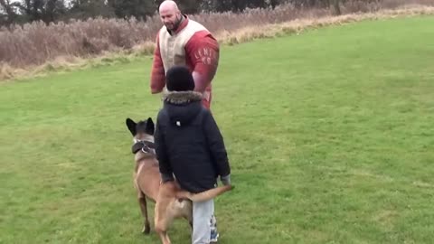 Personal protection dog training.