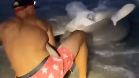 This is a beautiful and charming water-dwelling species