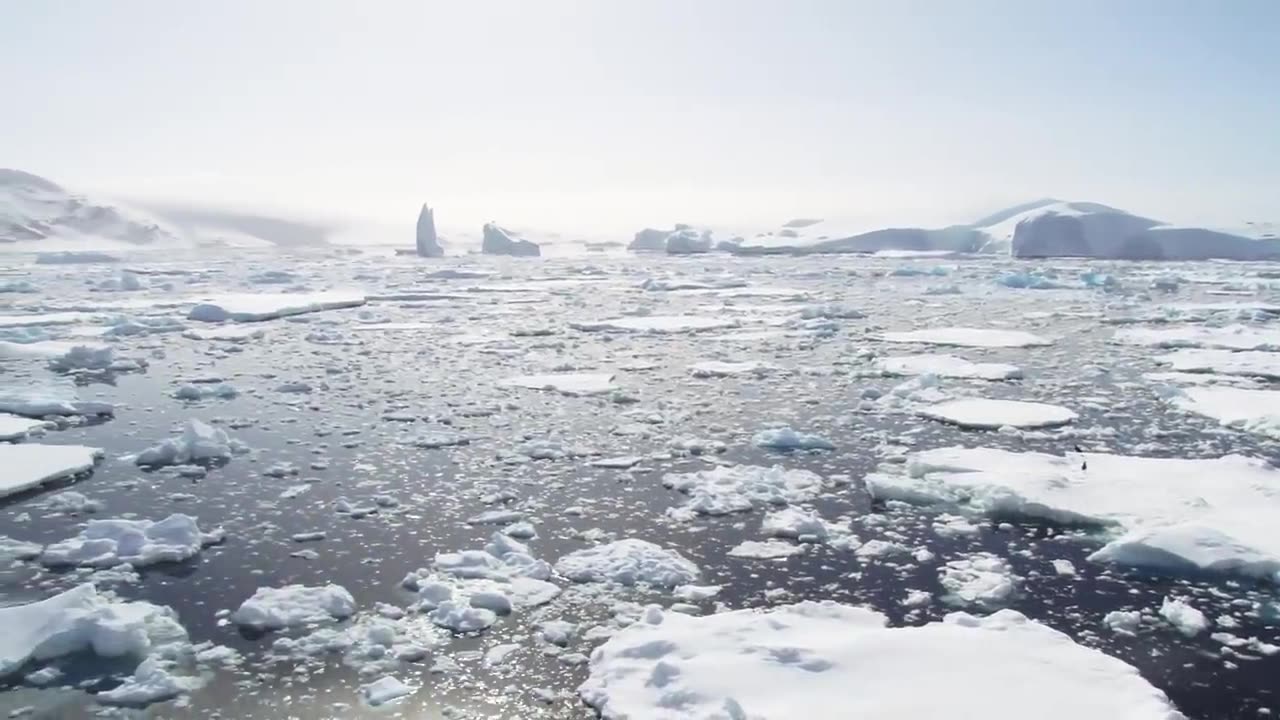 National Geographic Explorer, November 29, 2016, Antarctica