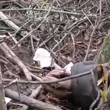 Fucked-up position of the Armed Forces of Ukraine and dead crests. 🔞18+