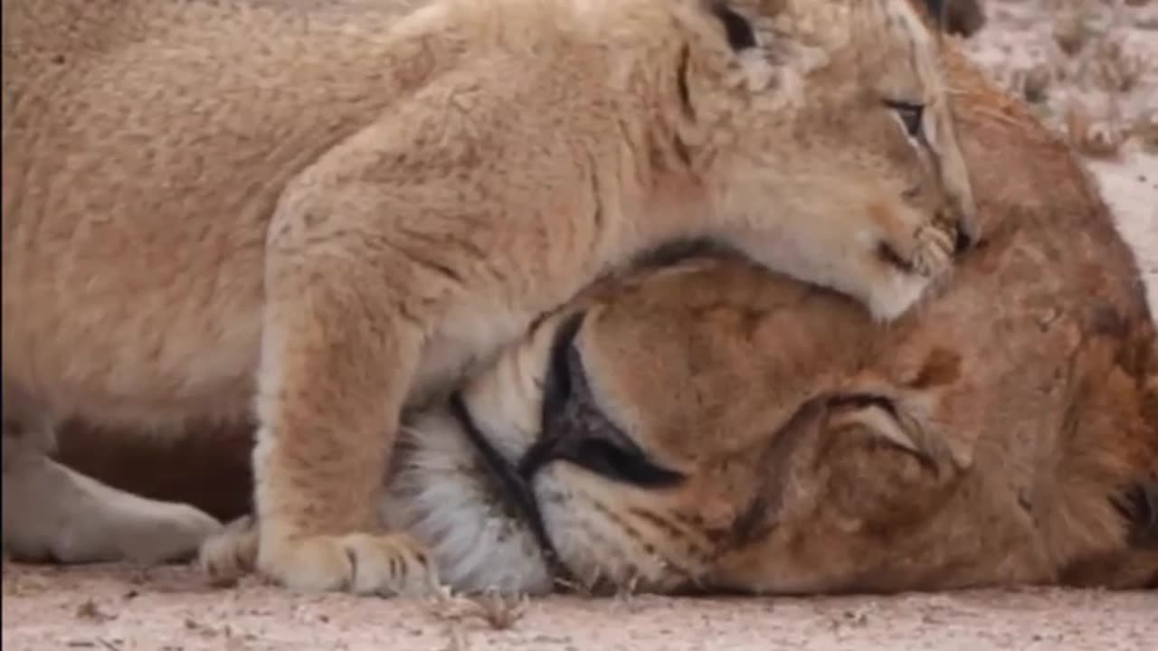 I luv u Mummy