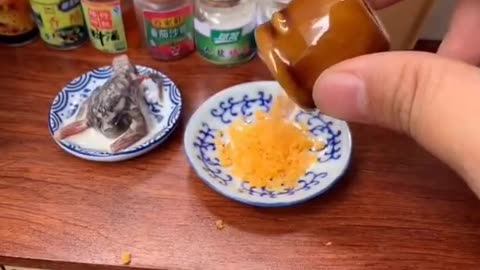 Miniature Funny Cooking